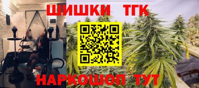 индика Пушкино