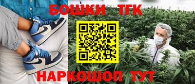 индика Пушкино