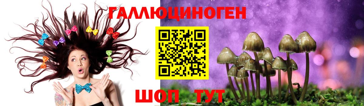 Симферополь  Псилоцибиновые грибы ЛСД  Вход с VPN 